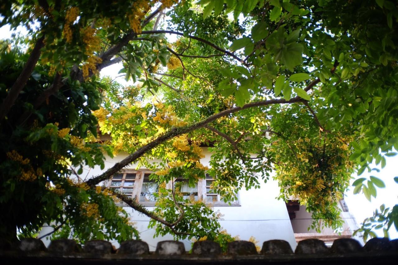 Mali Home Hoi An Exterior photo